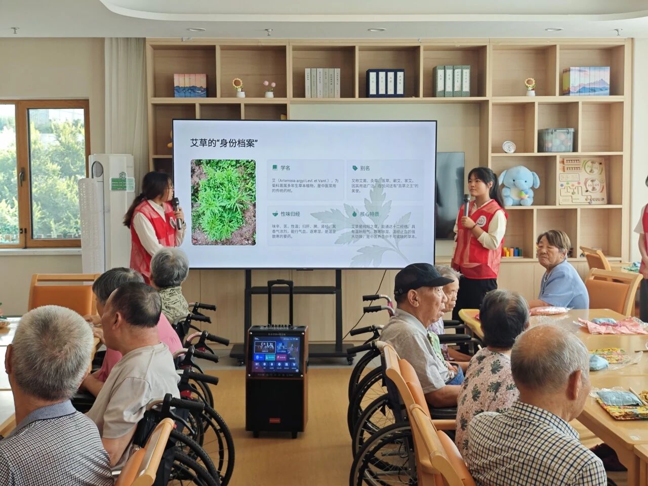 继续了解活动以艾草养生科普